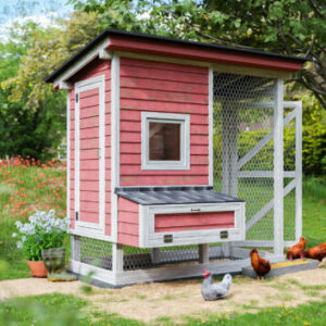 Premium Easy Coop DIY Chicken Coop Plans