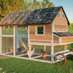 Free Easy Coop DIY Chicken Coop Plans