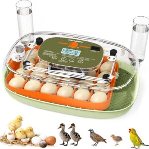 Egg Incubator for 24 Chicken Eggs with Automatic Turner, Digital Temperature Control & Humidity Display, Candler, Poultry Hatcher for Chicken, Duck, Quail, Birds (Green)