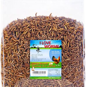 I LOVE WORMS Dried Black Soldier Fly Larvae (5lb)