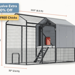 The Smart Coop + Steel Run (Exclusive Extra 10% off) + Free Chicks