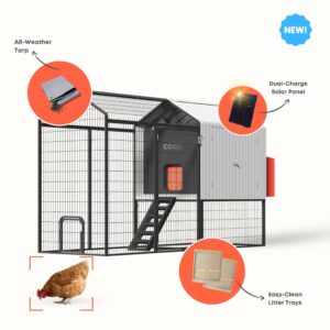 The Smart Coop Unlimited+ (Exclusive Extra 10% off) + Free Chicks