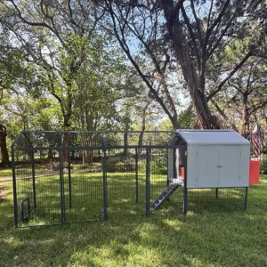 The Smart Coop + XL Steel Run (Exclusive Extra 10% off) + Free Chicks
