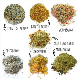Nesting Herb Starter Bundle-- 7 Different Nesting & Coop Herbs