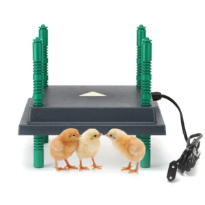 Farmight Chick Brooder Heater Plate, Adjustable Height, 3 Size Options