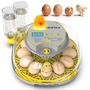 Incubator for Hatching Eggs-12 Egg Capacity, 2026 Newly Upraded Automatic Egg Turner, Temperature & Humidity Control, 360° Viewing for Chicken, Duck and Quail Eggs (Grey)