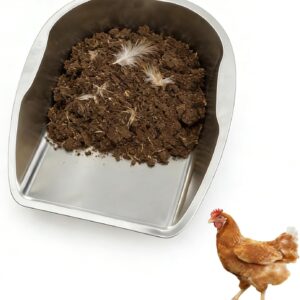 Transfer-Focused Chicken Poop Scooper for Coop, Multi-Purpose Stainless Steel Hand Scoop for Transferring Manure, Chicken Sand, Litter, Bedding, Trash & Chicken Feed, Essential Coop Supplies