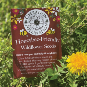 FREE GIFT FOR YOUR GARDEN: JOIN OPERATION POLLINATION!
