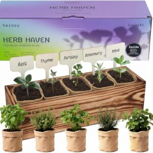 5 Herb Garden Kit with Wooden Box - Including Basil, Thyme, Parsley, Rosemary, Mint - Windowsill Herb Garden for Kitchen, Gardening Gifts for Mom Women, Men, Gift Ideas for Birthday, Housewarming