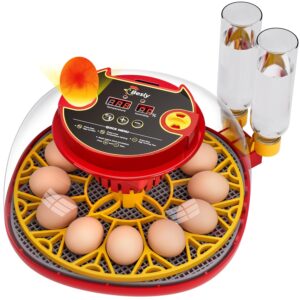 Incubator for Hatching Eggs,Automatic Turning,Temperature and Humidity Control Display,360° Viewing for Chicken, Duck, Quail Eggs, Ideal for Farm, Classroom, Home Use,2025 Upgraded 12 Egg Incubators