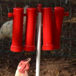 Large Chicken Treat Dispenser