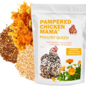Pampered Chicken Mama Mealworm, Black Soldier Fly Larvae, Corn, Flax, & Herb Treat (10 Pounds) for Backyard Chickens, Healthy Layer Feed & Supplies for Pet Chickens Poultry Queen Treat for Hens