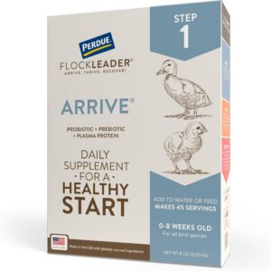 FlockLeader Arrive, Daily Probiotic & Prebiotic Poultry Supplement for Young Chickens 0-8 Weeks Old, 8 oz